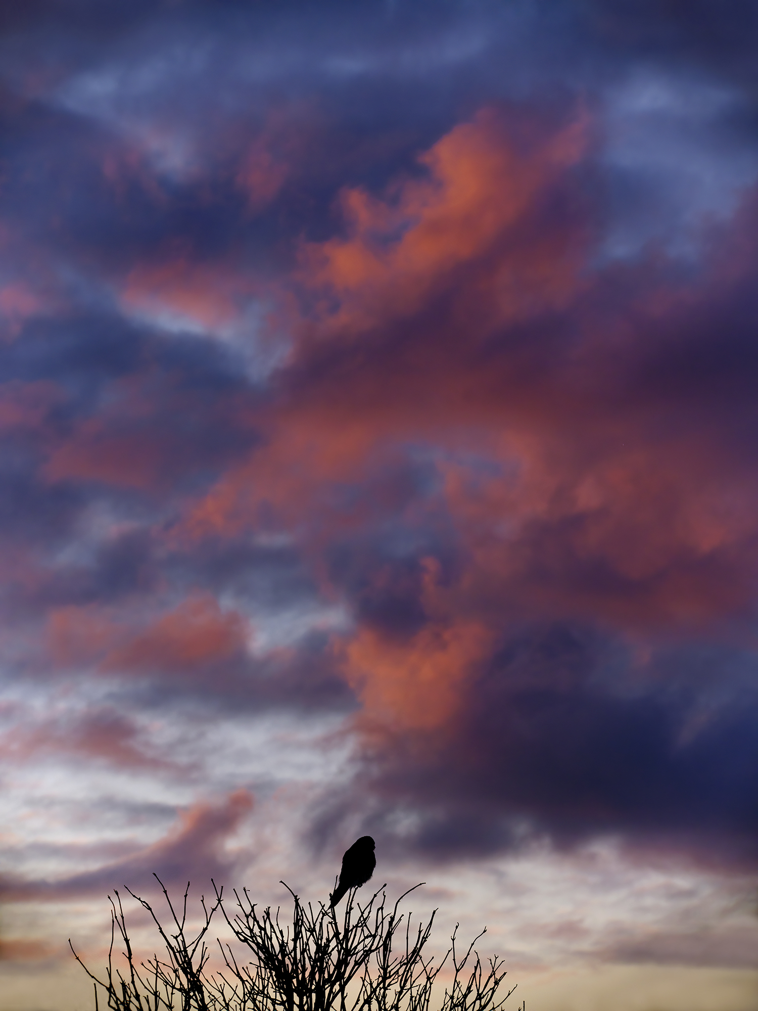 Dramatische Aussicht